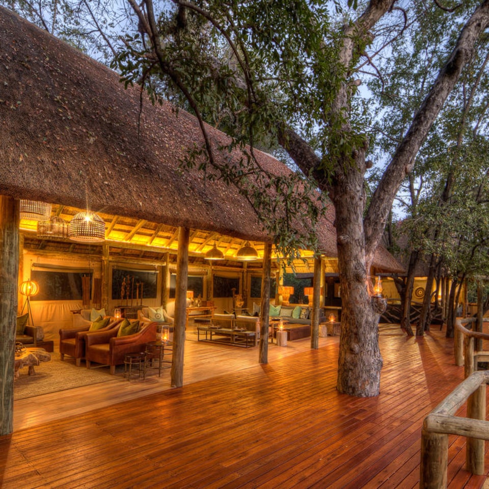 Camp Moremi
